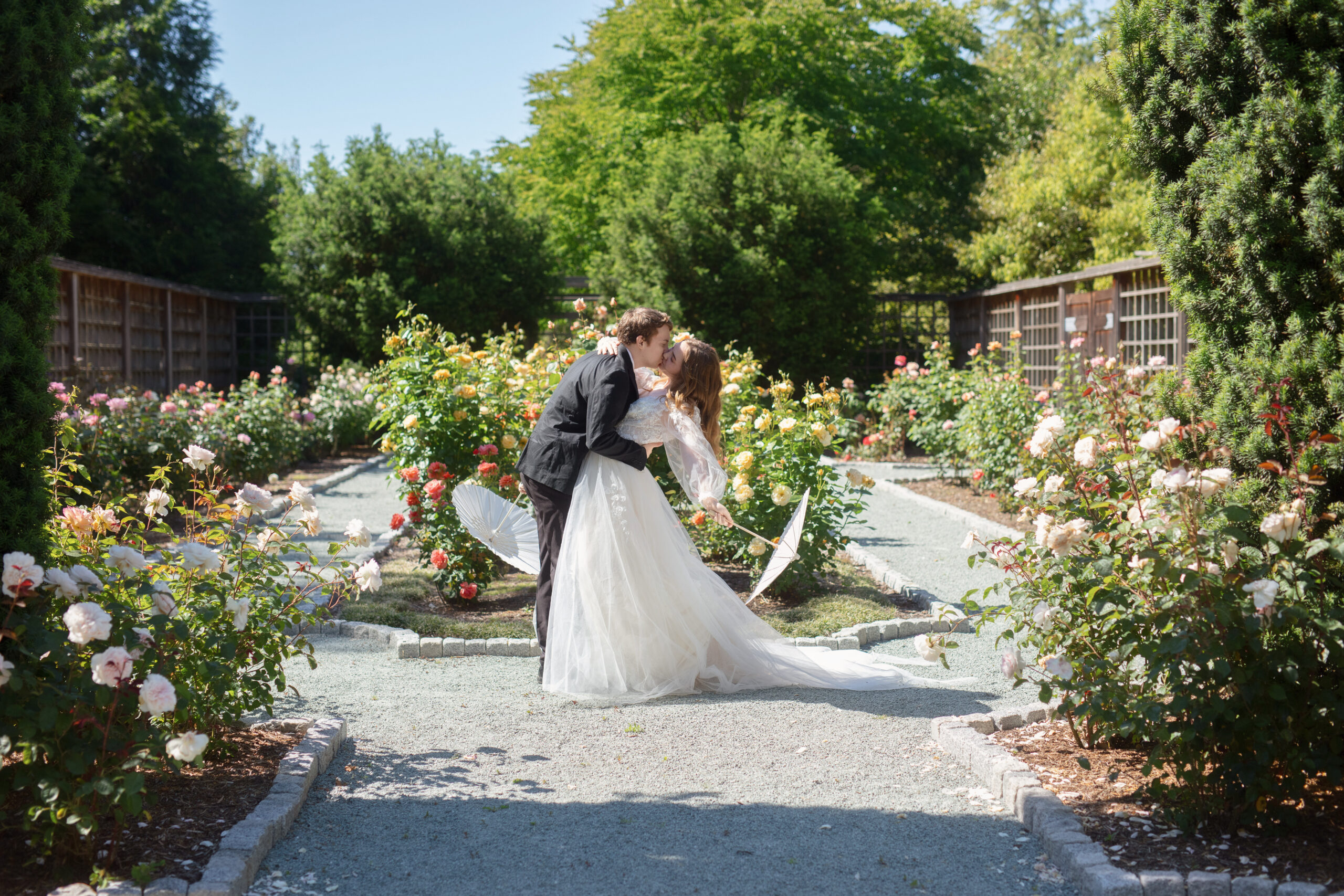 Groom dips bride for a kiss in the middle of a blooming rose garden.