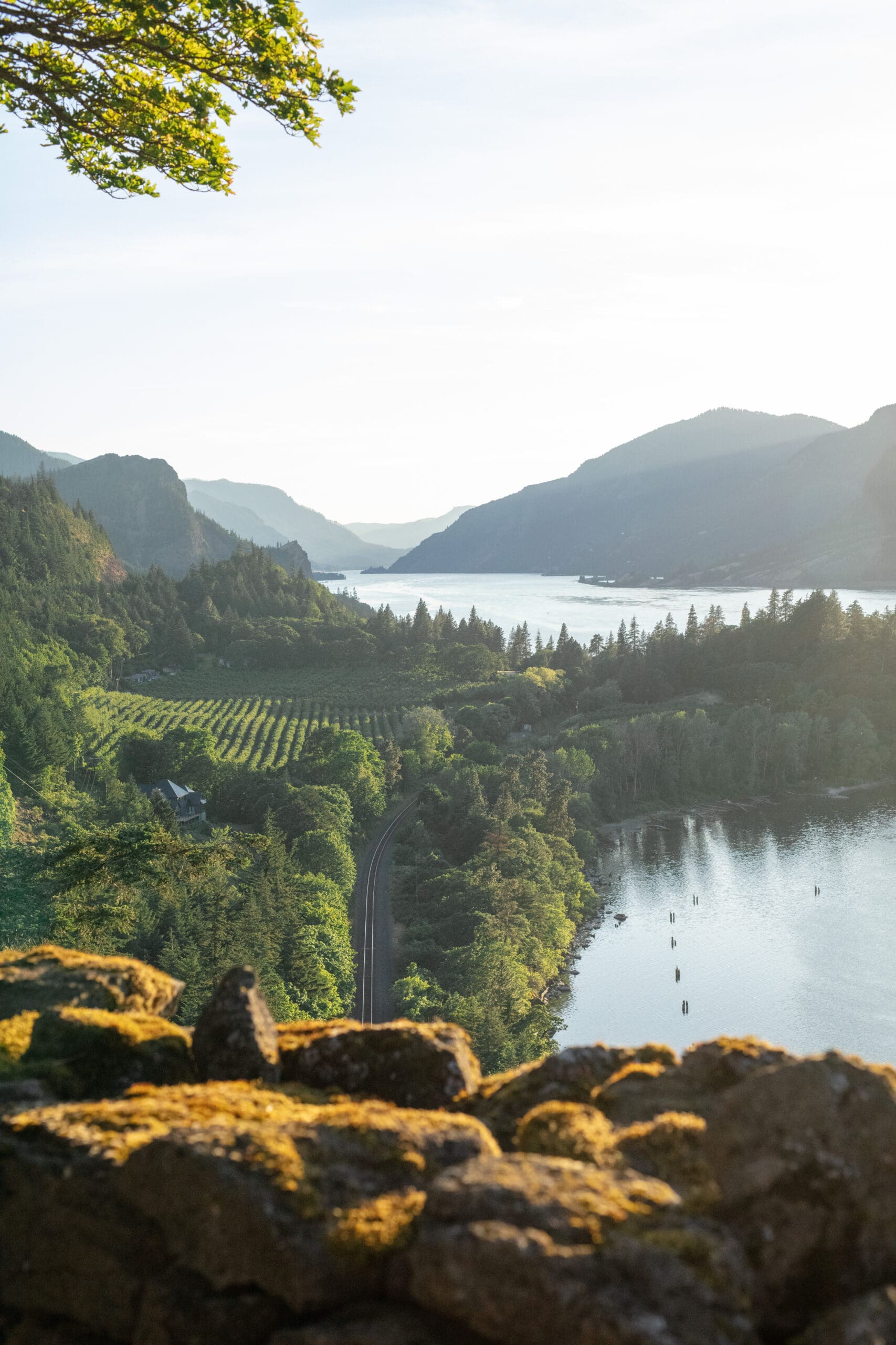 View of the Columbia River Gorge from the stone wall at The Griffin House wedding location