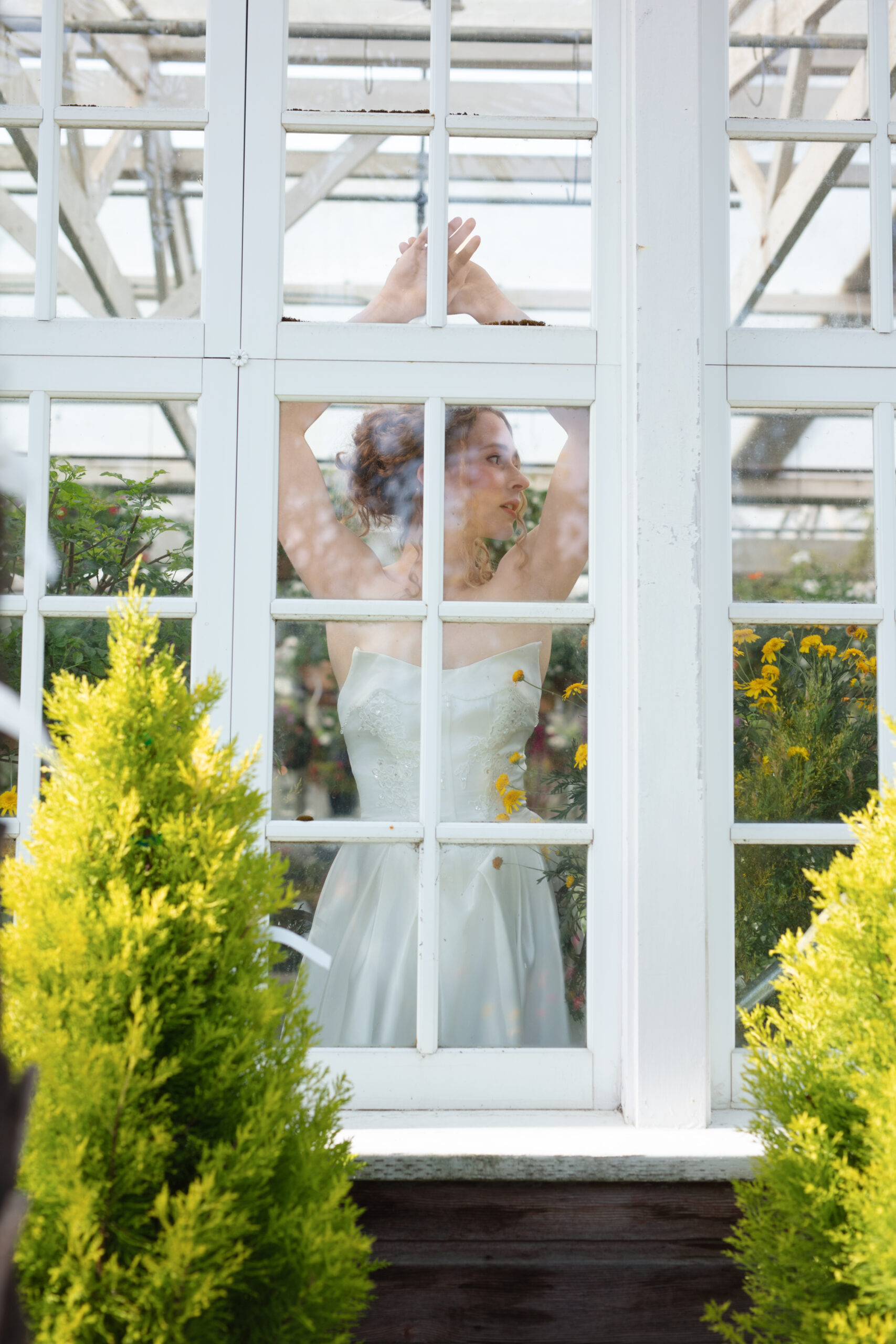 Artistic greenhouse portrait of the bride framed by florals and glass at her Christianson's Nursery wedding.