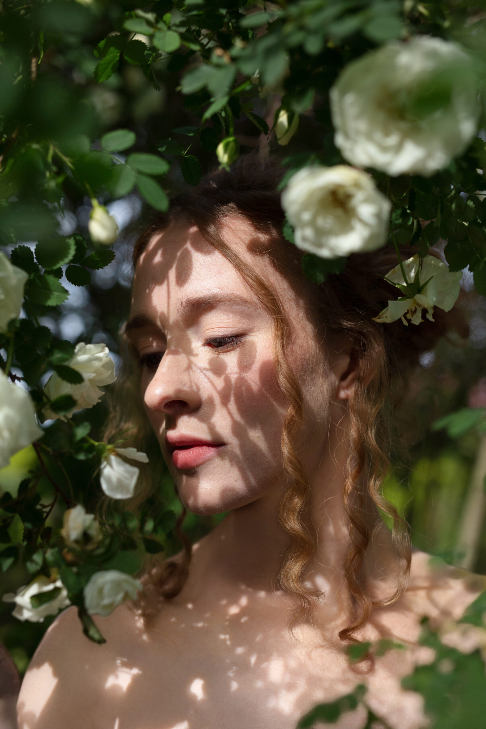 Bridal portrait framed by white roses and soft dappled light filtering through flowering branches.