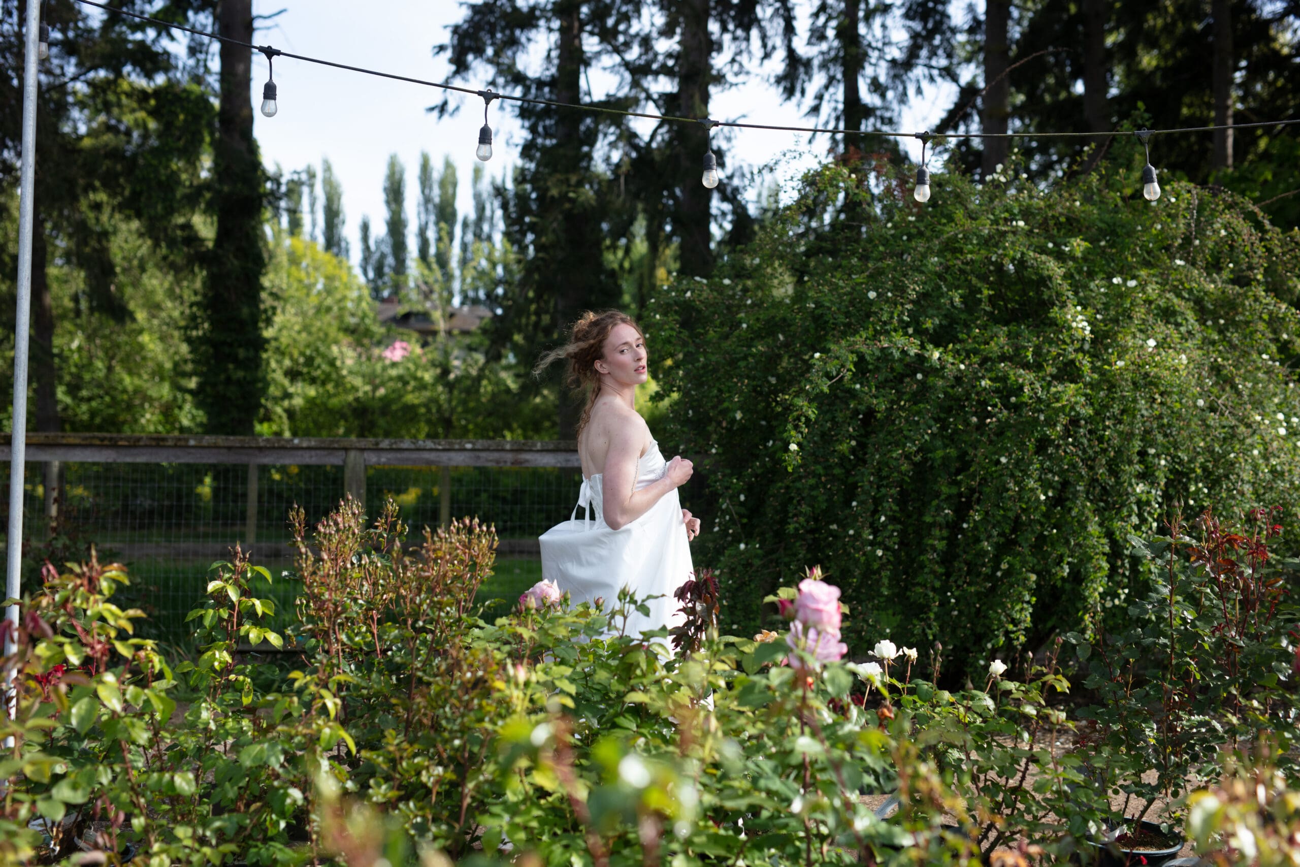 Bride walking barefoot through a blooming rose garden at Christianson’s Nursery, surrounded by string lights and lush greenery.