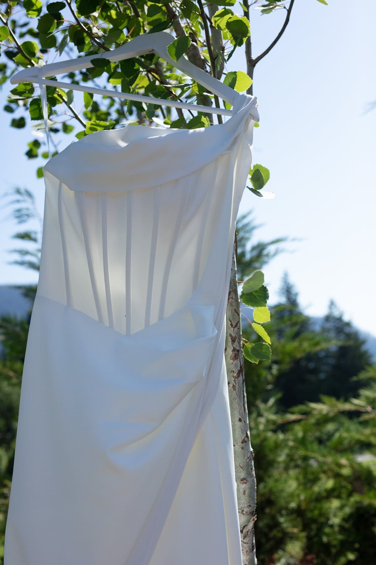 Close-up of a modern white wedding dress hanging from a tree branch with mountain scenery behind it.