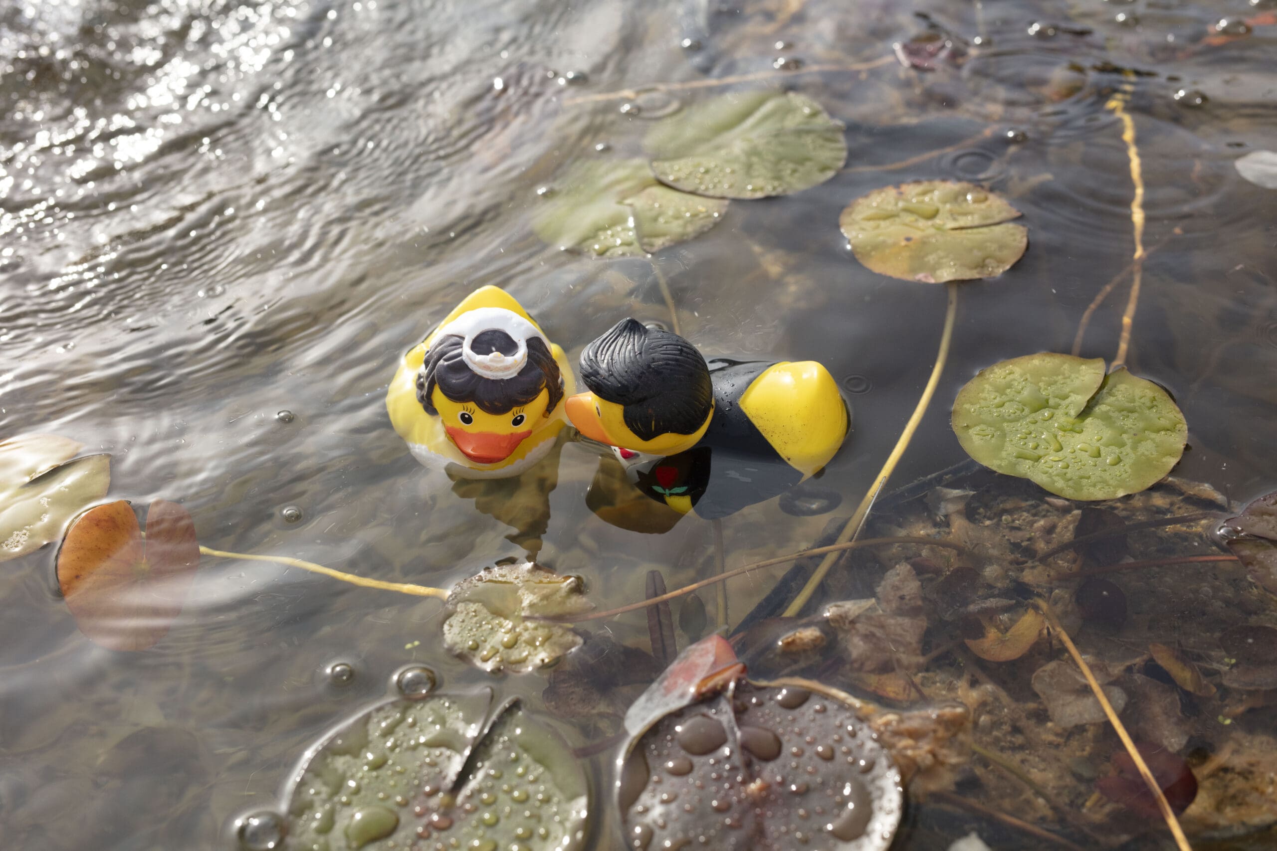 Whimsical wedding detail with bride and groom rubber duck toys floating in lily pond—fun and creative ideas for weddings