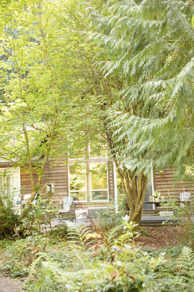 A cozy cabin surrounded by tall green trees and dappled sunlight, offering the perfect secluded airbnb weddings venue