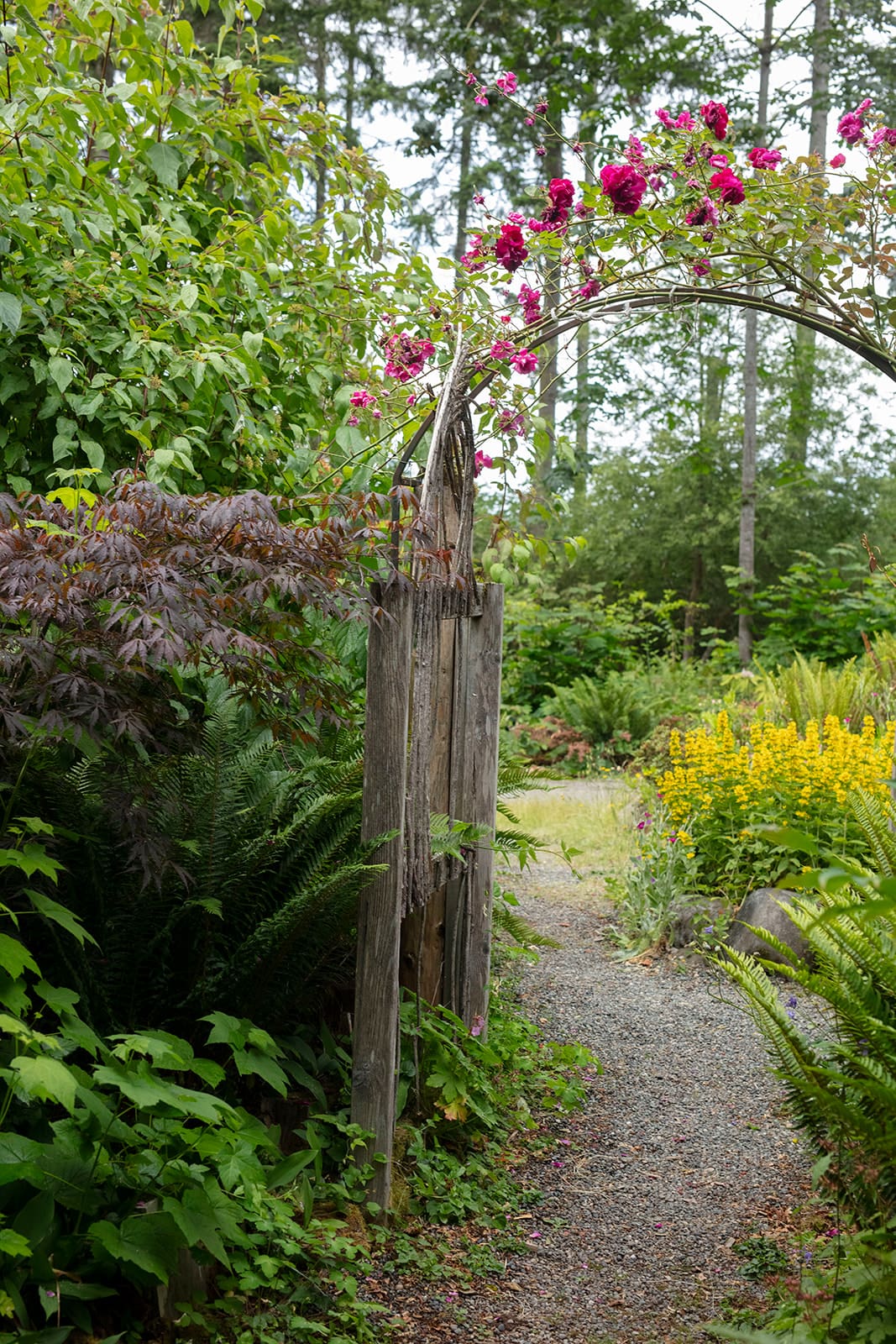 A scenic floral arch leading to a secret garden path at a wedding venue in Washington state.